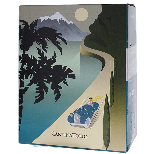 3000ml トレビアーノ バッグ イン ボックス ビアンコ 2022 トッロ  [白] 自然派