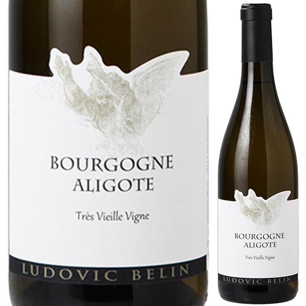 トスカニー イタリアワイン専門店 / ブルゴーニュ アリゴテ 2022