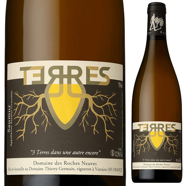 ソミュール ブラン テール 2022 ドメーヌ デ ロッシュ ヌーヴ 750ml  [白]