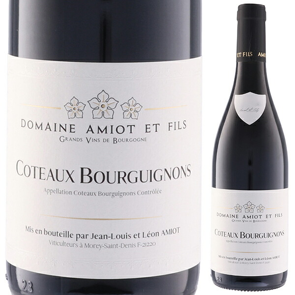 コトー ブルギニヨン 2021 ドメーヌ アミオ エ フィス 750ml  [赤] リュット レゾネ