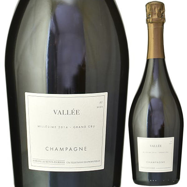 ヴァレ アイ グラン クリュ 2014 ドメーヌ レ モン フルノワ 750ml  [発泡白]