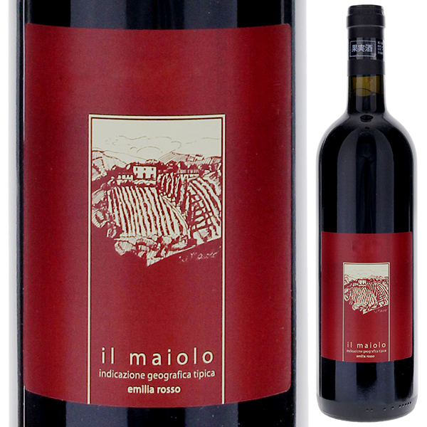 バンフィ ブルネッロ・ディ・モンタルチーノ 2019 / 750ml 4本セット Banfi バンフィ ブルネッロ ディ モンタルチーノ 2019｜ワイン