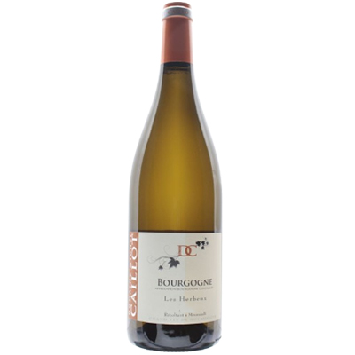 ブルゴーニュ ブラン レ ゼルブー 2019 ミッシェル カイヨ 750ml  [白]