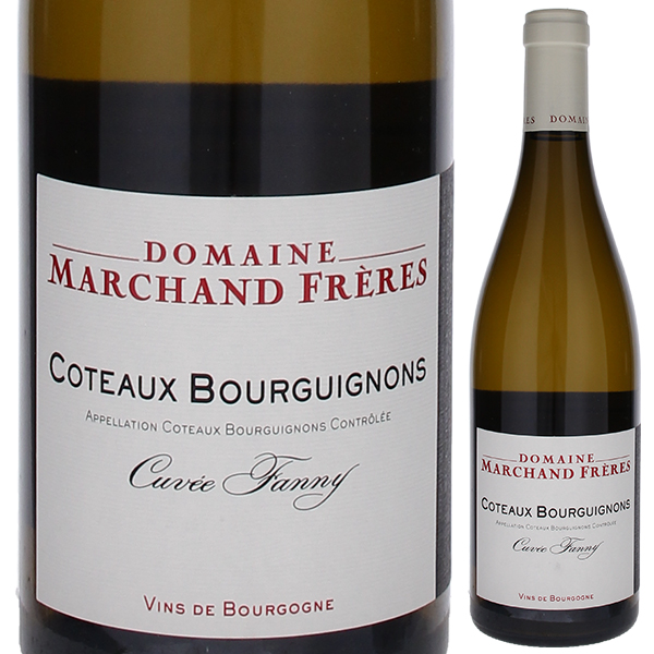 コトー ブルギニヨン ブラン 2023 ドメーヌ マルシャン フレール 750ml  [白]