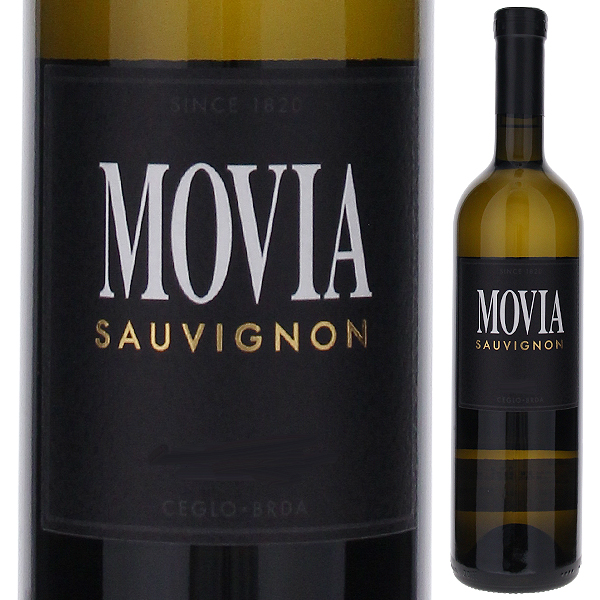 ソーヴィニヨン 2022 モヴィア 750ml  [白]
