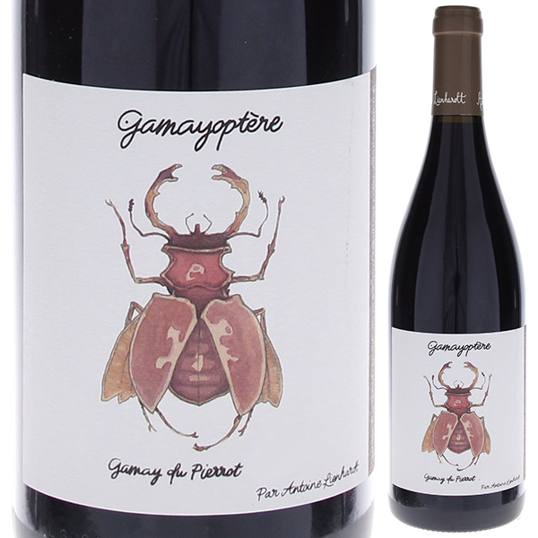 コトー ブルギニョン ガメオプテール 2022 アントワンヌ リエナルト 750ml  [赤]