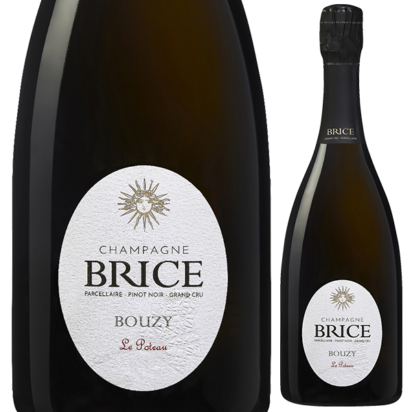 ブジー ブラン ド ノワール ル ポトー 2019 シャンパーニュ ブリス 750ml  [発泡白]