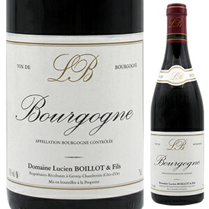 ブルゴーニュ ルージュ 2022 ドメーヌ ルシアン ボワイヨ 750ml  [赤]
