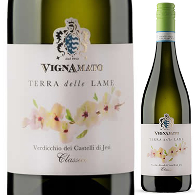 テッラ デッラ ラメ ヴェルディッキオ カステッリ ディ イエージ 2024 ヴィニャマート 750ml  [白]