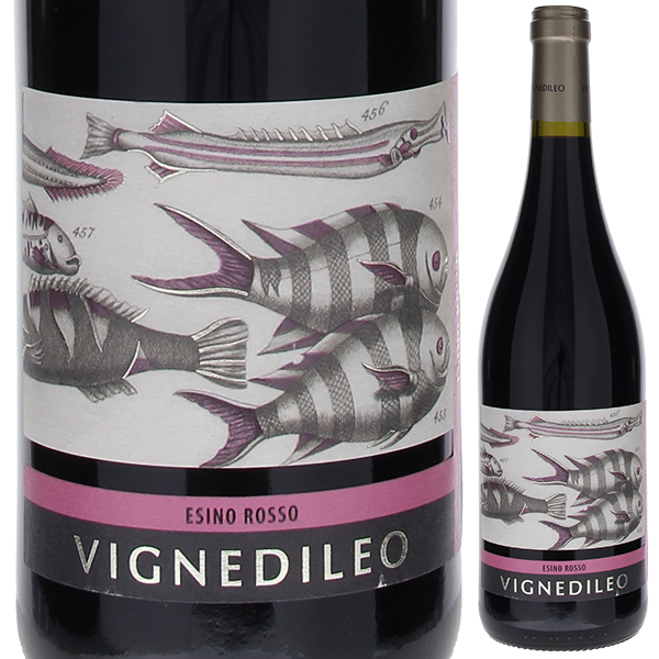 エジーノ ロッソ 2023 ヴィニェディレオ （トレ カステッリ） 750ml  [赤]