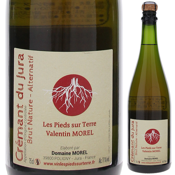 クレマン デュ ジュラ アルテルナティフ ロゼ 2018 ドメーヌ モレル 750ml  [発泡赤]