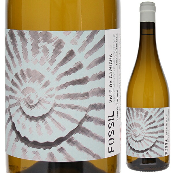 フォッシル ブランコ 2022 ヴァレ ダ カプーシャ 750ml  [白] 自然派