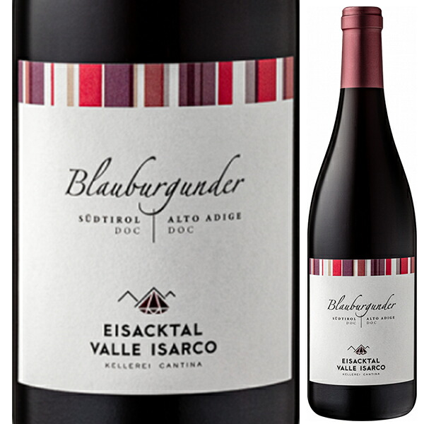 トスカニー イタリアワイン専門店 / ピノ ネロ 2024 カンティーナ