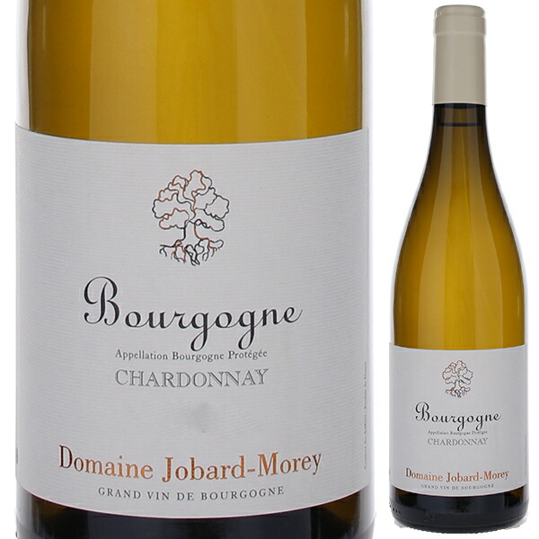 ブルゴーニュ シャルドネ 2023 ドメーヌ ジョバール モレ 750ml  [白]