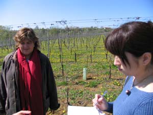 モンテブルーナの畑
