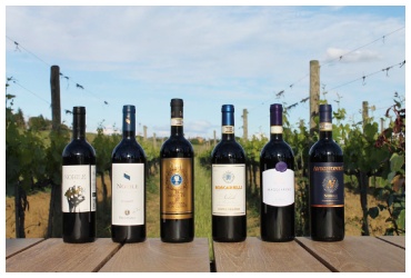 アライアンスヴィヌム