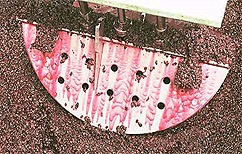 円盤状の穴の板によるタンクでの発酵作業