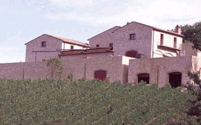 ブランカイアのぶどう