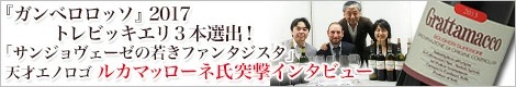 カステッロ コッレ マッサーリ突撃インタビュー