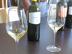 試飲した２種類の白