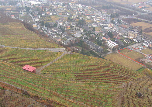 急斜面の畑を高台から見下ろす