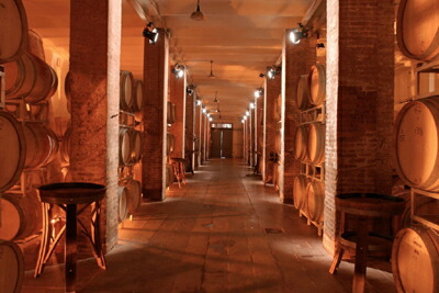 カペッツァーナのセラー