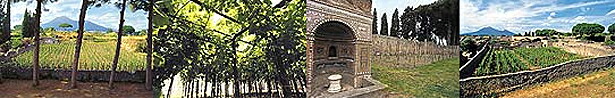 世界遺産ポンペイ遺跡内にもある同社のブドウ畑
