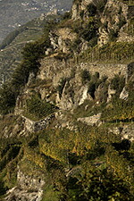 山に囲まれたインフェルノと呼ばれる急斜面の段々畑
