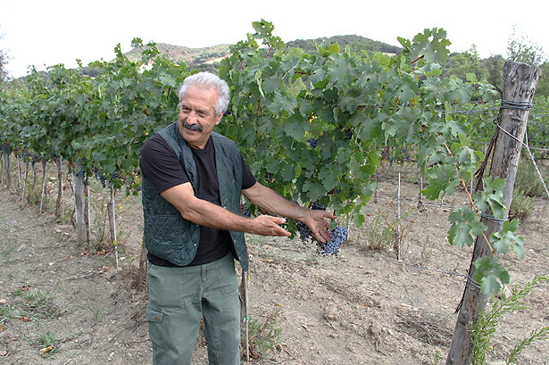 畑を見せるパスクアーレ氏