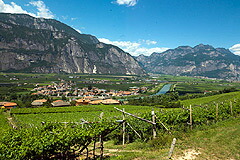 山のふもとに広がる畑