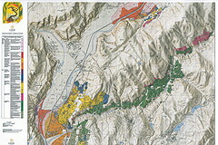 特性によって分類された地図