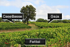 1本の樹を中心に左手がカーゼバッセ、右手がガヤ、手前がファットーイの畑