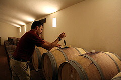 試飲ワインを樽からとりだす様子