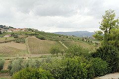 丘の上にあるのがラッダインキャンティの町