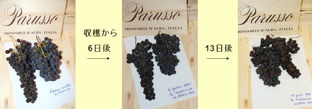 収穫間もないブドウ、6日後のブドウ、13日後のブドウ
