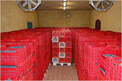 ブドウの休憩室