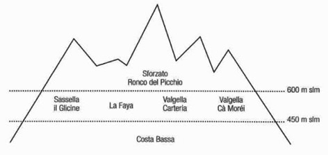 サンドロファイ畑の標高図