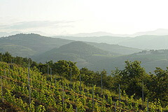 畑から見える山々