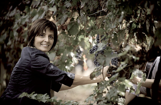 チンツィア　カンポルミ氏