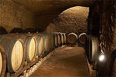 樽の並ぶ地下セラー