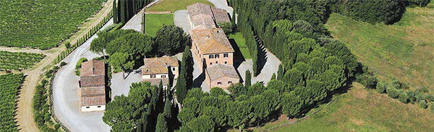 上空から撮影したワイナリー