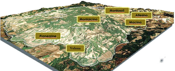 5つの畑の地形図