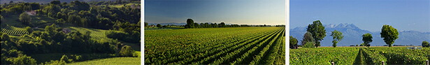 コルヴェンドラーメ、レ ロンケ、プラ ロンゴ３枚の畑の写真