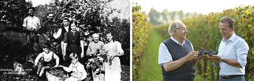 デ ステファニ　ファミリー