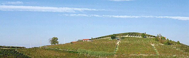 スキアヴェンツァの畑