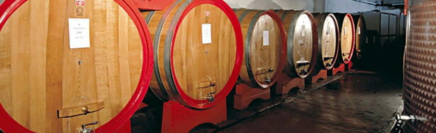 スキアヴェンツァ大樽