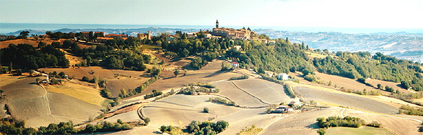 テラクルーダの景観