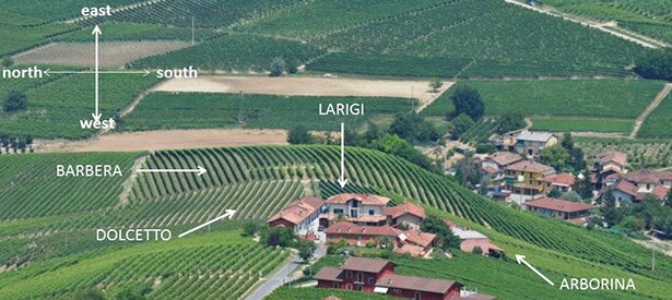 エリオアルターレ地図