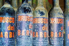 ブルスコディバルビ