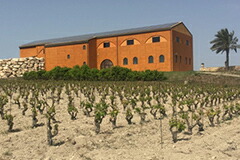 ワイナリ‐外観